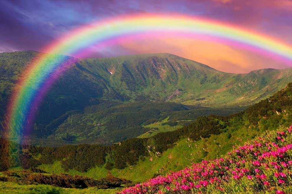 Сколько цветов у радуги фото