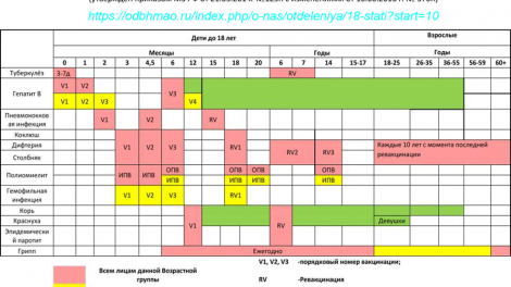 Календарь прививок 2020 Россия таблица официальный сайт