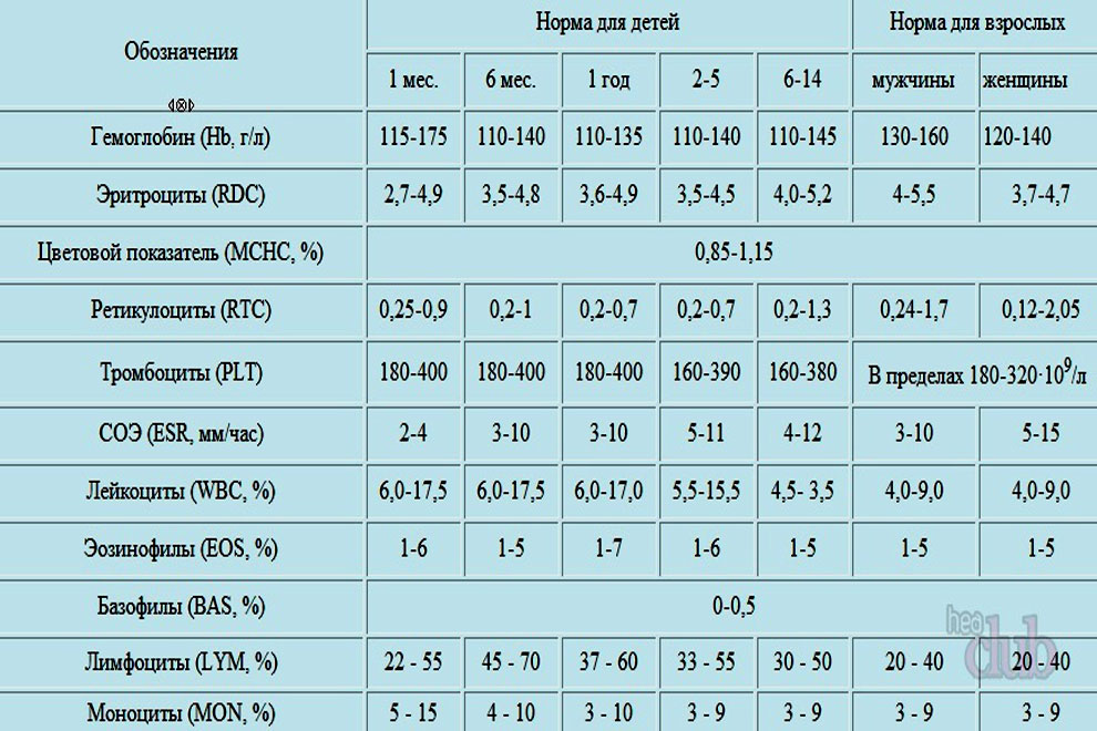 таблица общего анализа крови с расшифровкой для женщин, мужчин и детей
