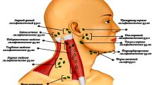 На фото схема расположения шейных лимфатических узлов