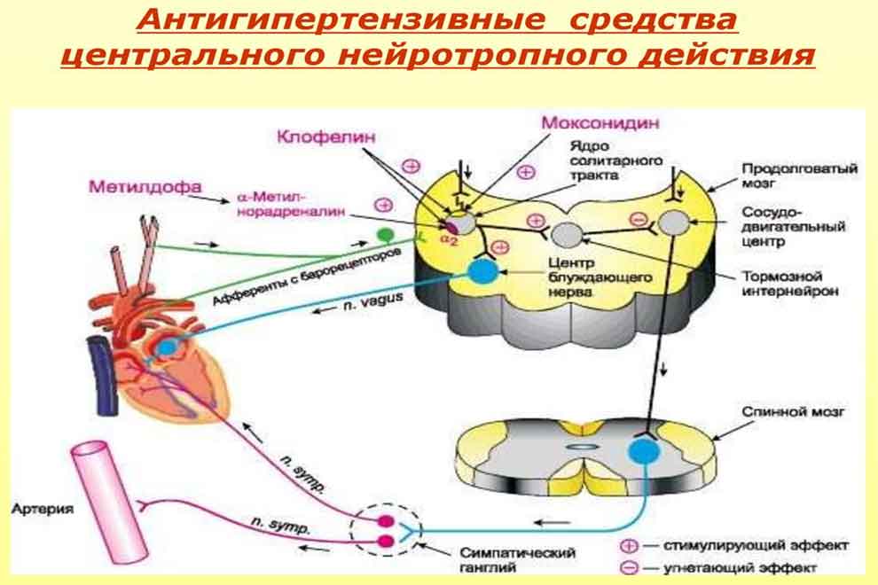 Антигипертензивные средства нейротропного действия тесты с ответами НМО